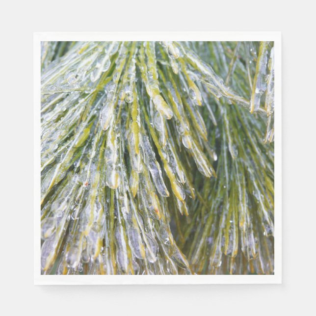 Ice Coated Pine Needles Winter Botanical Napkin (Front)