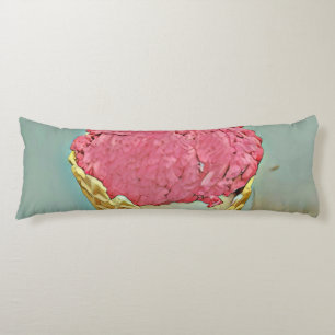 Ice cream birthday gift body cushion