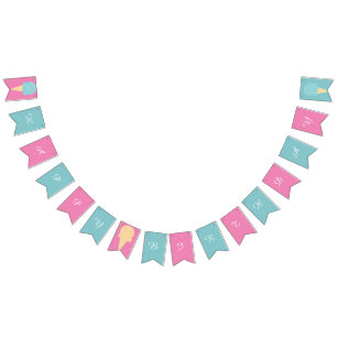 Ice Cream Cones Pink Blue Happy Birthday  Bunting