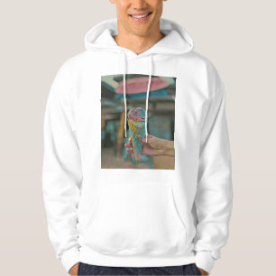 Ice cream flavour hoodie