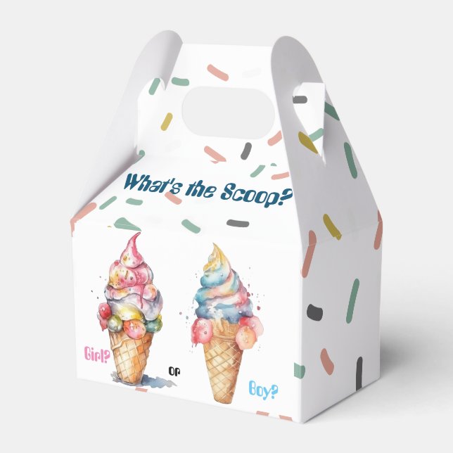 Ice Cream Gender Reveal Party Favour Box (Front Side)
