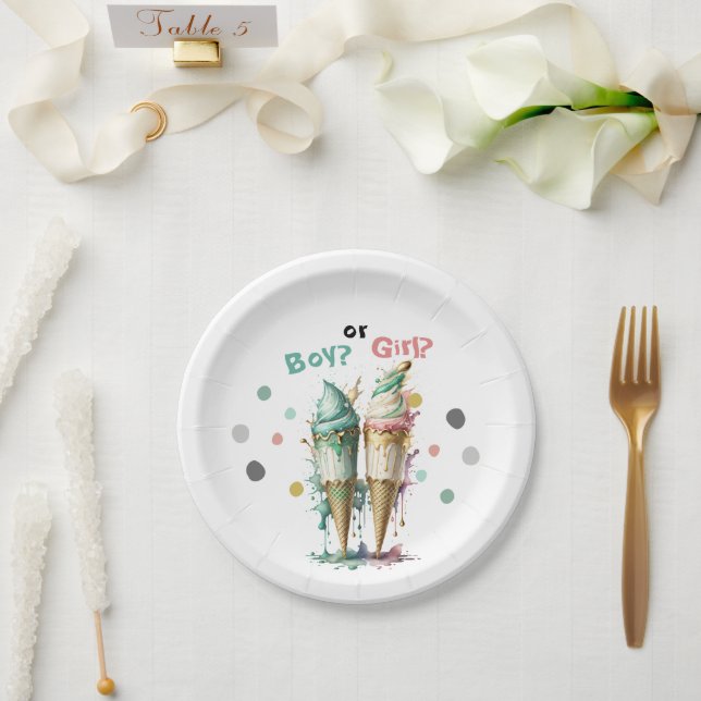 Ice Cream Gender Reveal Party Invitation Paper Plate (Wedding)