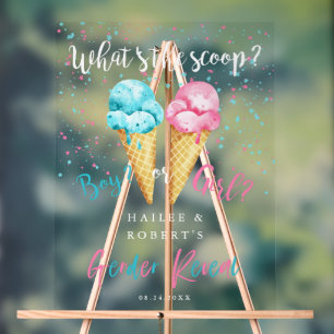Ice Cream Gender Reveal Party Sign