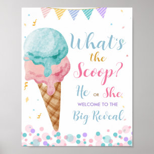 Ice Cream He or She Colourful Gender Reveal Welcom Poster