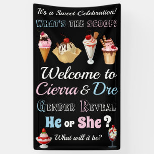 Ice cream What's the Scoop Banner