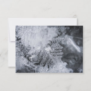 Ice Crystal Nature Photo Card