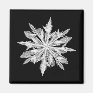 Ice crystal snowflake magnet