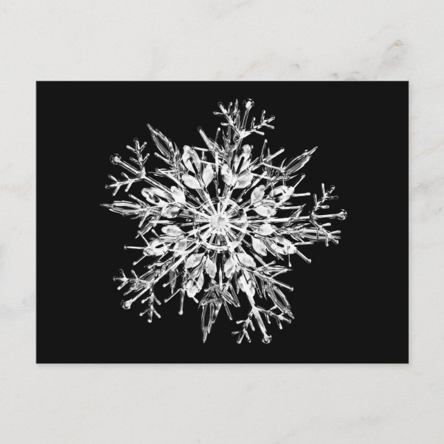 Ice crystal snowflake postcard (Front)