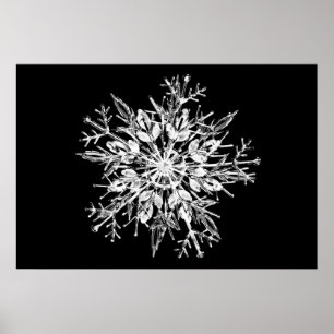 Ice crystal snowflake poster