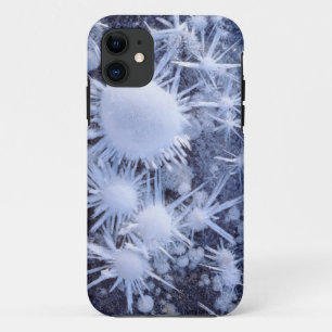 Ice crystals in the Sierra iPhone 11 Case