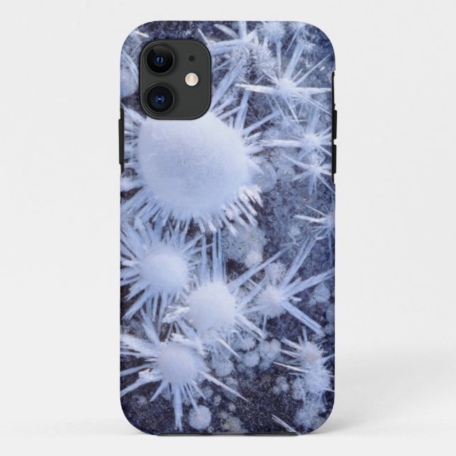Ice crystals in the Sierra Case-Mate iPhone Case (Back)