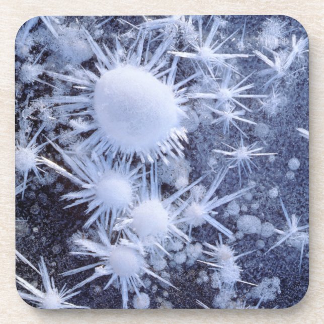 Ice crystals in the Sierra Coaster (Front)