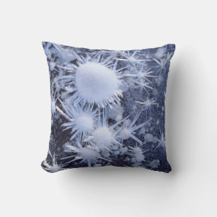 Ice crystals in the Sierra Cushion