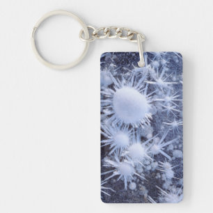 Ice crystals in the Sierra Key Ring