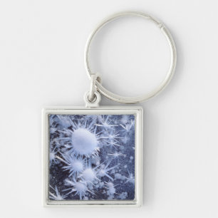 Ice crystals in the Sierra Key Ring