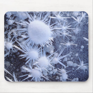 Ice crystals in the Sierra Mouse Pad
