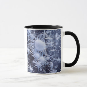 Ice crystals in the Sierra Mug