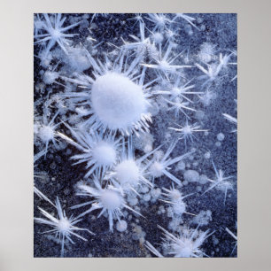 Ice crystals in the Sierra Poster