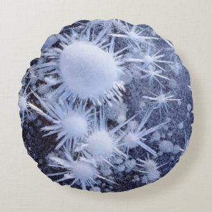 Ice crystals in the Sierra Round Cushion