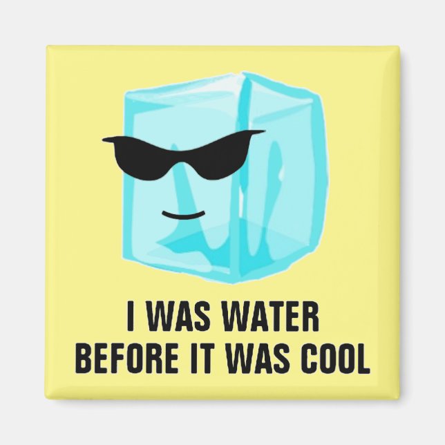 Ice Cube I Was Water Before It Was Cool Magnet (Front)