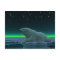Ice Edge Polar Bear