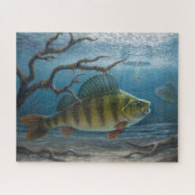 Ice Fishing for Perch