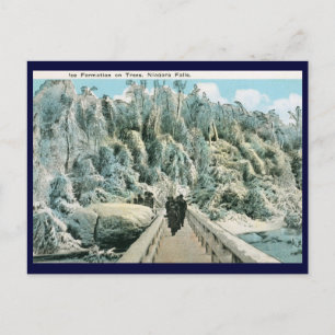 Ice Formation on Trees, Niagara Falls Vintage Postcard