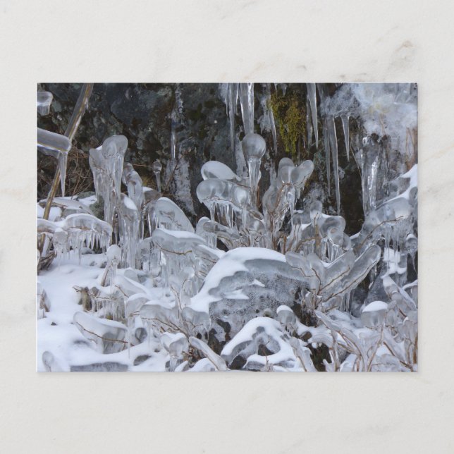 Ice Formations, Unalaska Island Postcard (Front)
