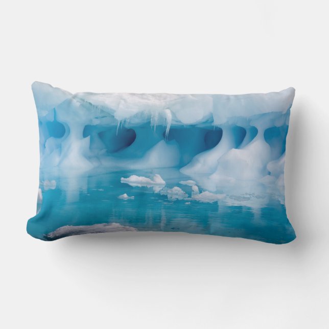 Ice in Antarctica Lumbar Cushion (Front)