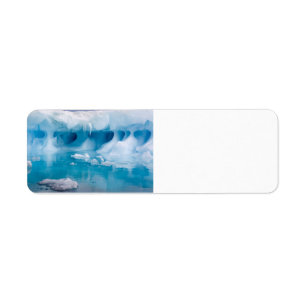 Ice in Antarctica Return Address Label