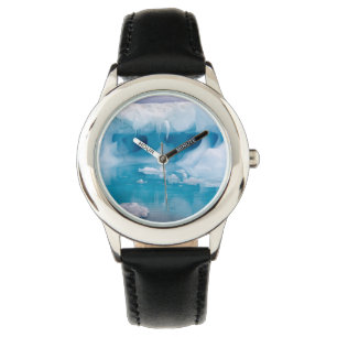 Ice in Antarctica Watch