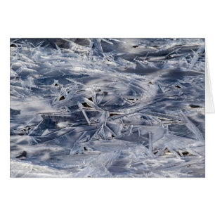 Ice Not ICE