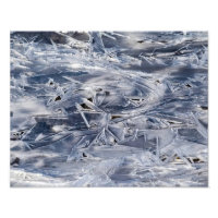  Ice Not ICE