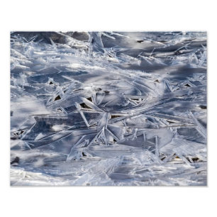 Ice Not ICE Photo Print