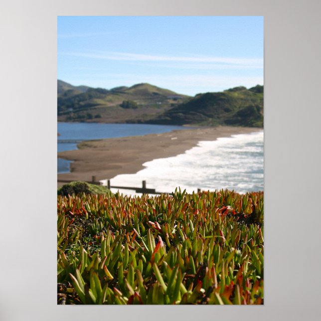 Ice Plant, Beach, waves (portrait) Poster (Front)