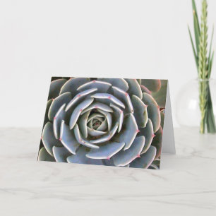 Ice Plant Card