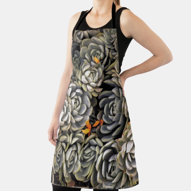 Ice plant mania apron (Insitu)