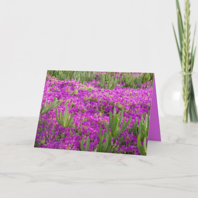 Ice Plant Purple Flowers, Floral, Blank Greeting Card (Front)