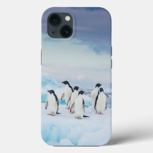 Ice & Snow Adelie Penguins Antarctica iPhone 13 Case