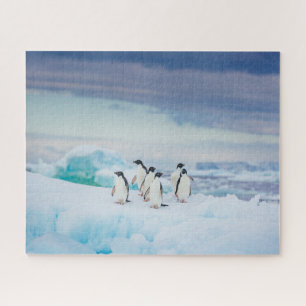 Ice & Snow   Adelie Penguins Antarctica Jigsaw Puzzle