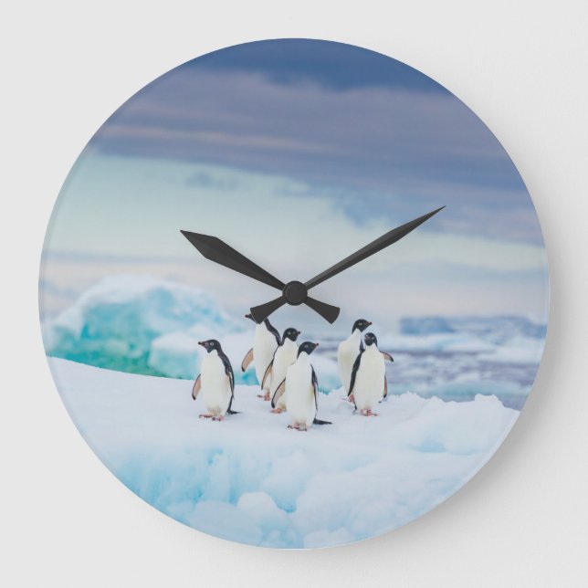 Ice & Snow | Adelie Penguins Antarctica Large Clock (Front)