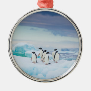 Ice & Snow   Adelie Penguins Antarctica Metal Ornament