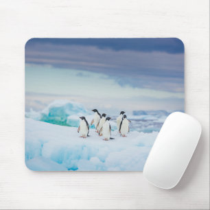 Ice & Snow   Adelie Penguins Antarctica Mouse Pad