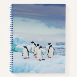 Ice & Snow Adelie Penguins Antarctica Notebook