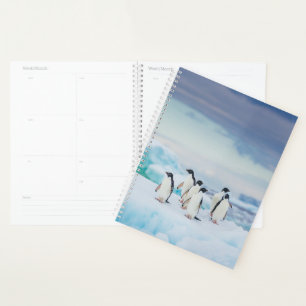 Ice & Snow Adelie Penguins Antarctica Planner