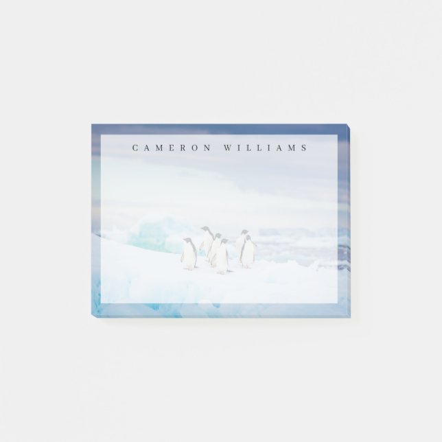 Ice & Snow | Adelie Penguins Antarctica Post-it Notes (Front)