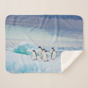 Ice & Snow   Adelie Penguins Antarctica Sherpa Blanket