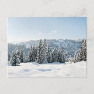 Ice & Snow Allgäu Bavaria Germany Postcard
