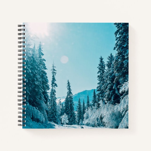 Ice & Snow | Altai Nature Reserve, Russia Notebook (Front)