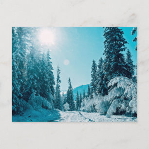 Ice & Snow   Altai Nature Reserve, Russia Postcard